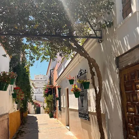 Casita Rustica En El Mar *